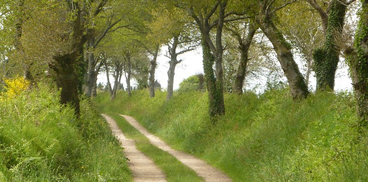 Bruno Guillevic, coaching and personal development in Morbihan, Brittany